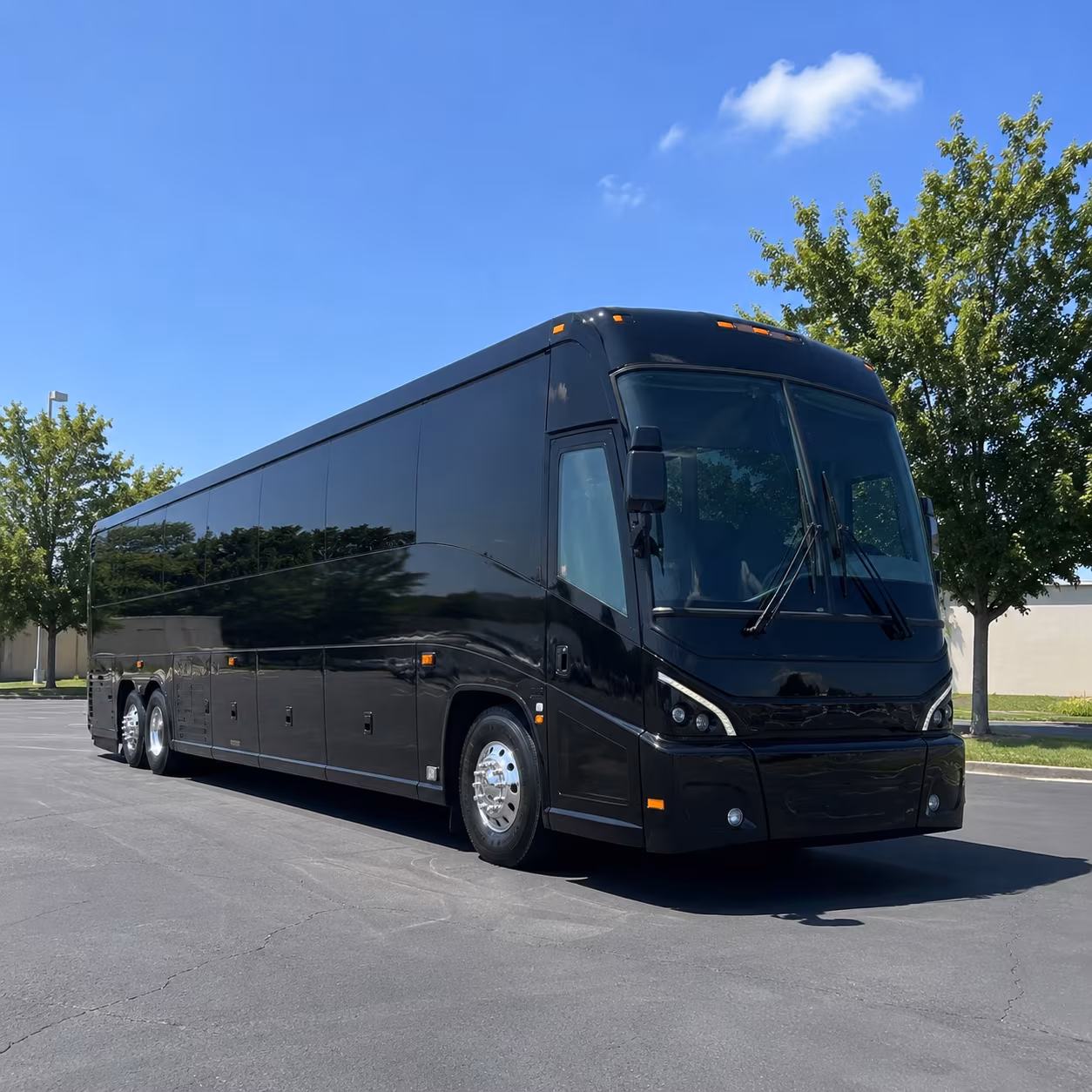 edinburg 56 passenger charter bus